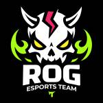 ROG ESPORTS Profile Picture